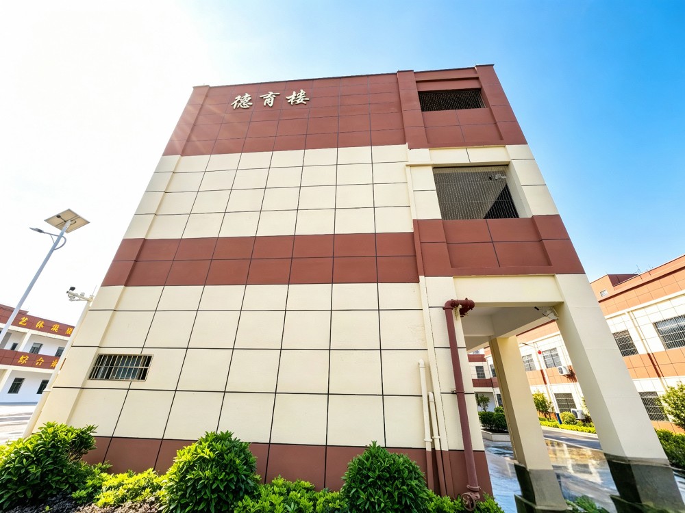 2026年湛江叛逆小孩管教学校怎么选?深度解析兴趣赋能式育人新路径